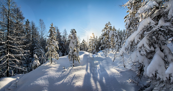 Winterpanorama / ***