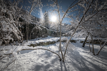 Winter Day In Gelati Monastery / ***