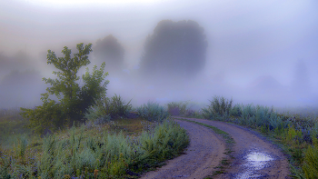 Straße im Nebel / ***