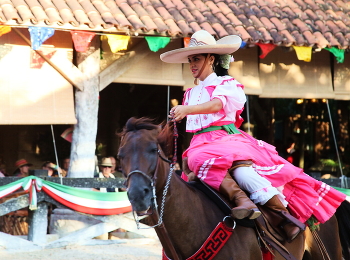 Amazonas / ***