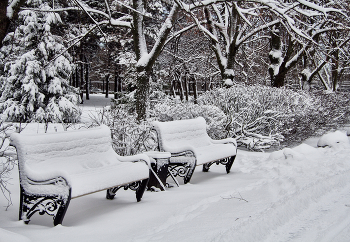 In Winter Park / ...