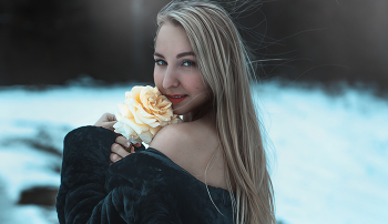 The Winter Flowers / ...