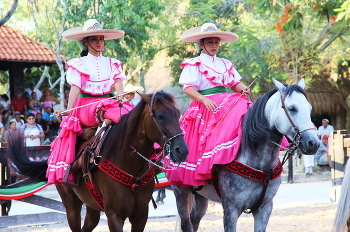 Amazonas / ***