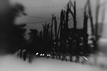 Montag Morgen / ...