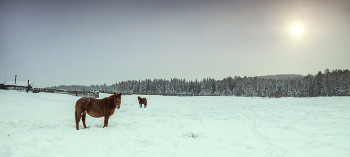 Winterwanderung / ***