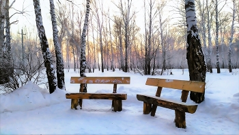 Winterabend / ***