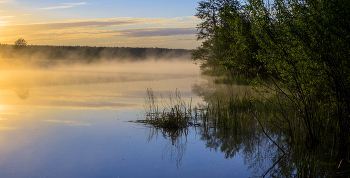 Morgennebel. / ***