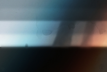 / ***