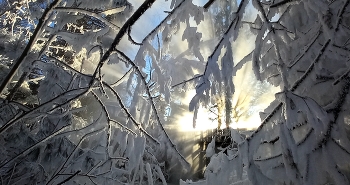 Sonnenaufgang / ***