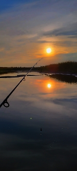 Abend Angeln / ***