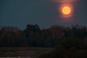 Full Moon / ***