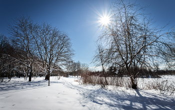 Im Winter Park ... / ***