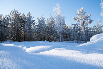Februarsonne / ***