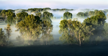 Nebel zerstreut / ***