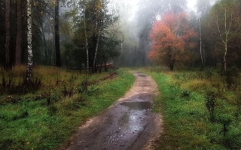 Herbstmotiv / ***