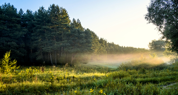 Nebel in der Morgendämmerung. / ***