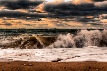 surfen / ***