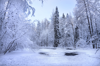 Winterbild / ***