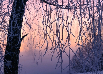 Sonnenuntergang im Winter / ***