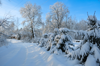 Russian Winter / ***