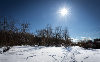 Im Winter Park ... / ***