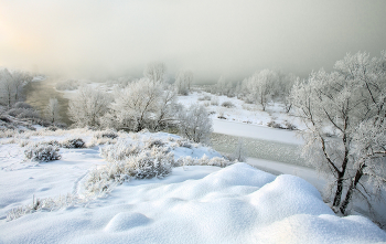 Winter / ***