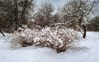 Im Winter Park ... / ***