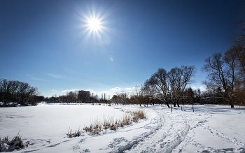 Im Winter Park ... / ***