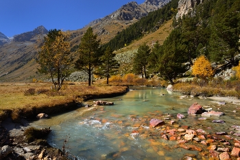 mountain River / ***