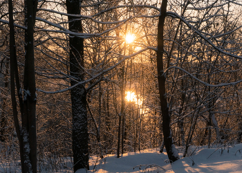 Sonnig / ***