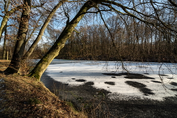Gefrorener Teich / ***