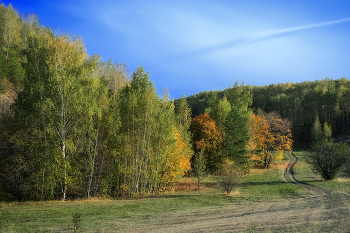 Herbst / ***