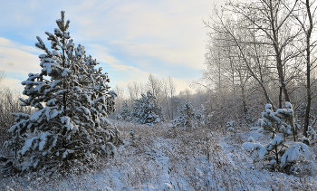 Winter- Skizze. / ***