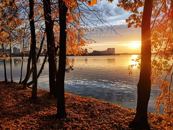 In Erinnerung an die Herbst / ***