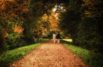 Wandern im Herbst / ***