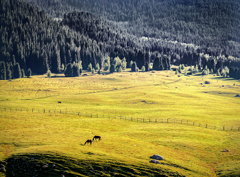 Mountains / ***