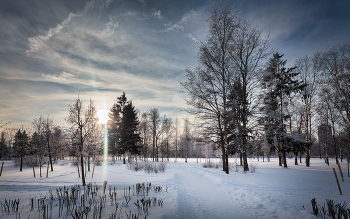 Im Winter Park ... / ***