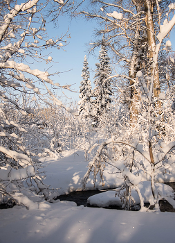 Die Schneewehe / ***