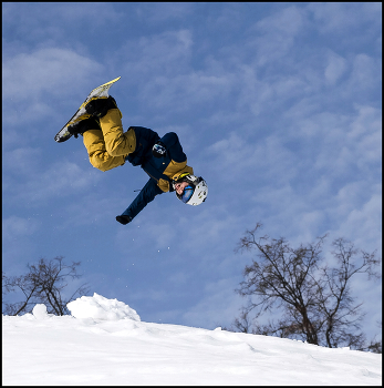 Im Flug / ***