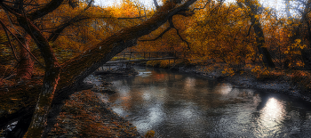 Brücke / ***