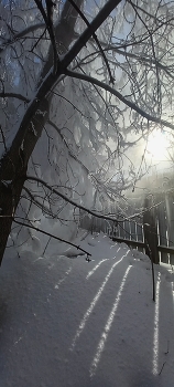 Februar / ***