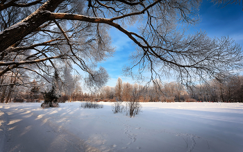 Im Winter Park ... / ***