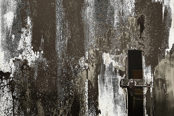  / ***