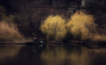 An der Küste / ***