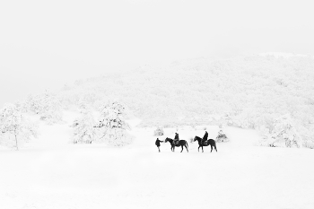 White Day / ***