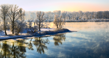 Winter / ***