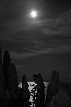 Full Moon / ***