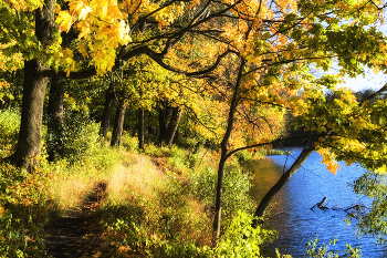 Goldener Herbst / ***