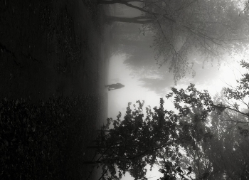 Nebliger Morgen / ***