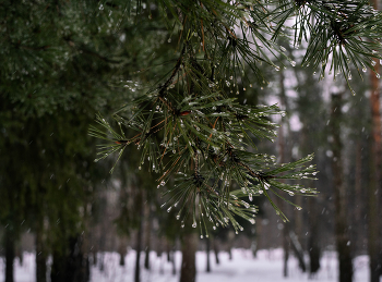 Winter regen / ***